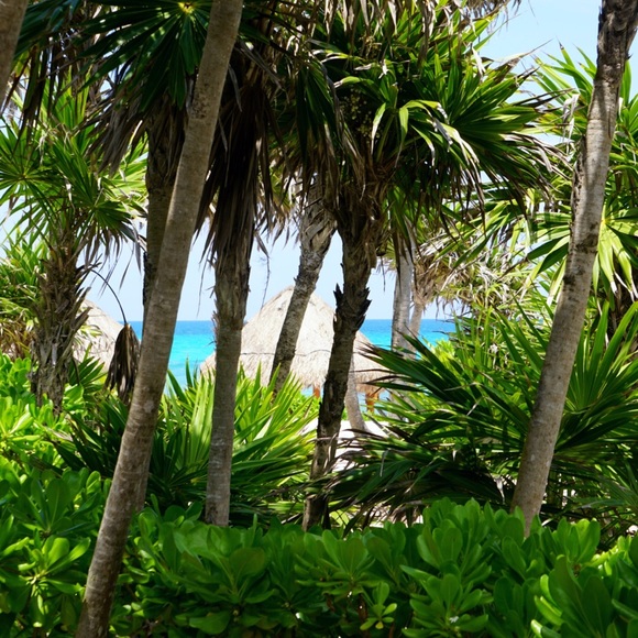 Meet your Posher, Lily - Picture 8 of 8